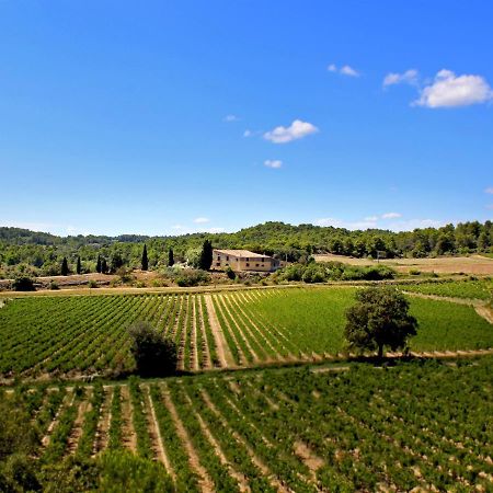 Domaine De Palats Guest House Laure-Minervois Luaran gambar