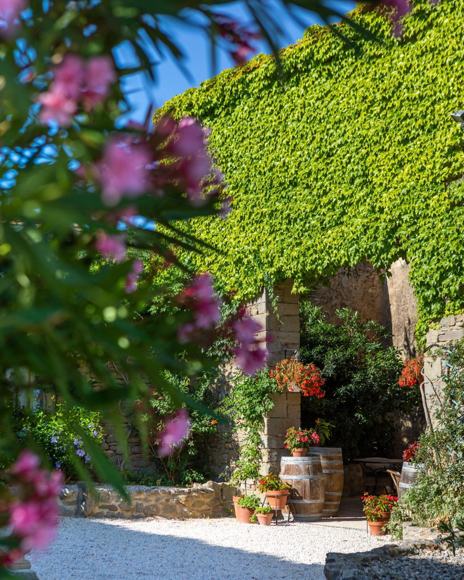 Domaine De Palats Guest House Laure-Minervois Luaran gambar