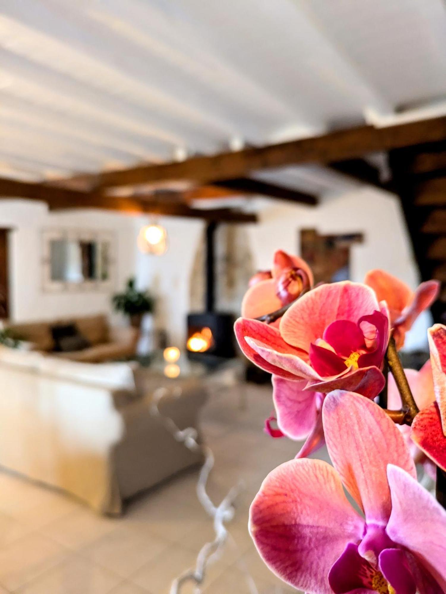 Domaine De Palats Guest House Laure-Minervois Bilik gambar
