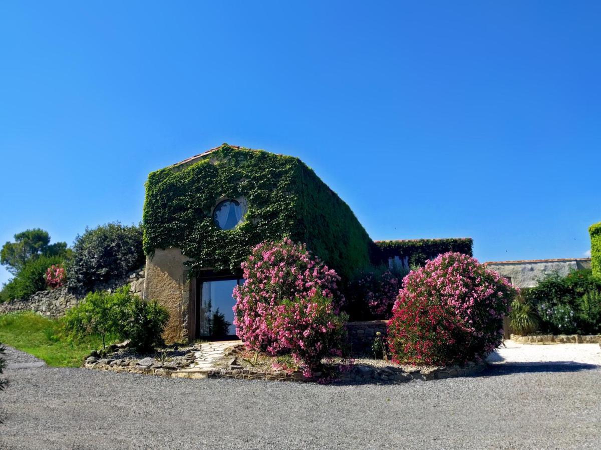 Domaine De Palats Guest House Laure-Minervois Luaran gambar