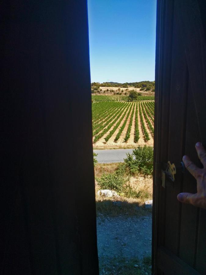 Domaine De Palats Guest House Laure-Minervois Luaran gambar